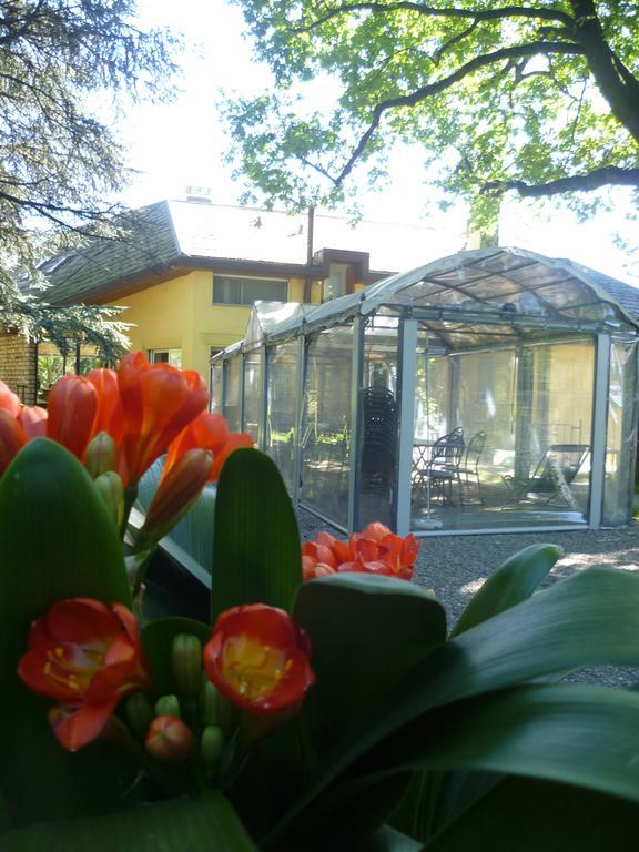 Il Colombe B&B Барцано Экстерьер фото