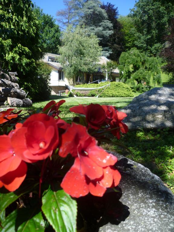Il Colombe B&B Барцано Экстерьер фото
